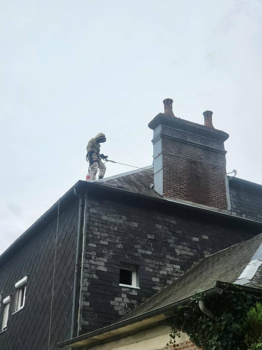 Désinsectiseur professionnel pour frelons dans un local commercial et industrie située à proximité de Dieppe 76 en Seine Maritime