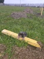 Nos prestations sur le secteur de près de Neufchâtel-en-Bray 76 en Seine Maritime