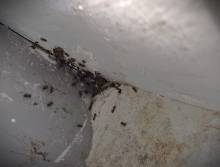 Nos prestations sur le secteur de près de Neufchâtel-en-Bray 76 en Seine Maritime