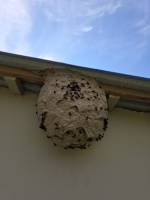 Nos prestations sur le secteur de proche de Tôtes 76 en Seine Maritime